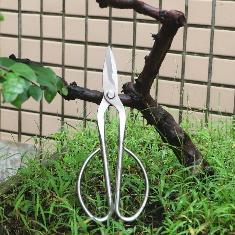 Concave Branch Cutter - Tijeras de jardín totalmente de acero,