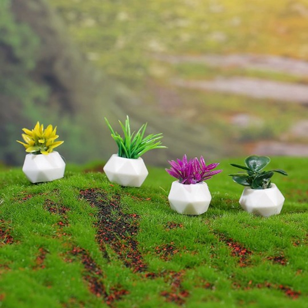 Bonsai Garden Mini - Planta en maceta en miniatura para