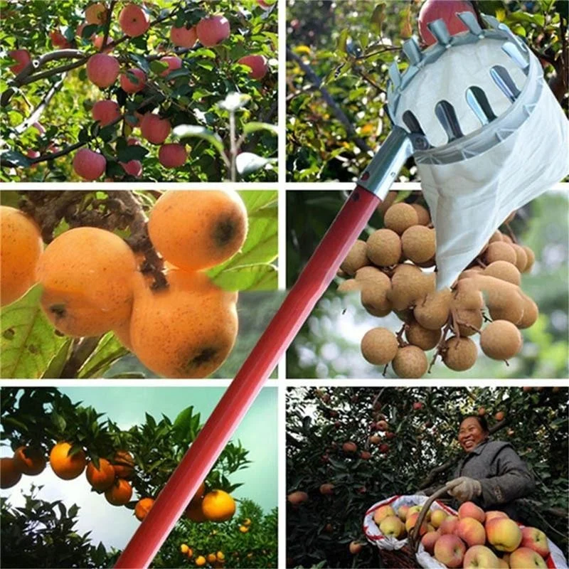 Bonsai Garden Tree - Recolector de Frutas para Granja y
