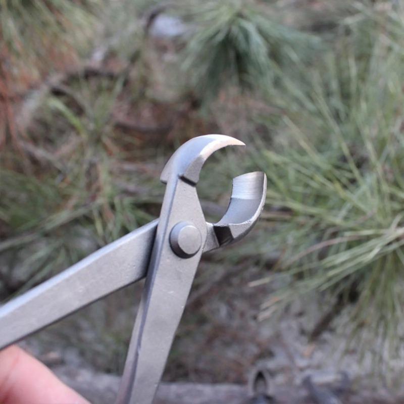 Cortador de perilla para bonsá - Concave Branch Cutter reseña y precio