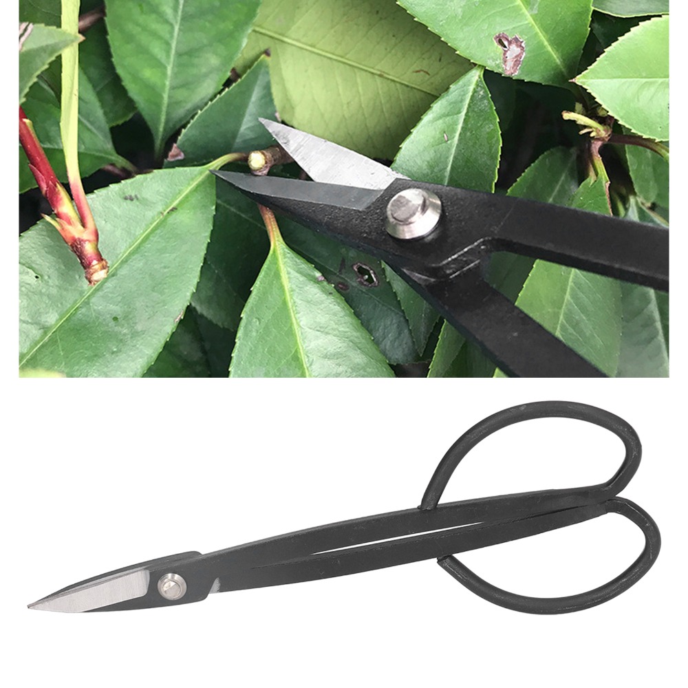 Tijeras para bonsái de acero i - Concave Branch Cutter reseña y precio