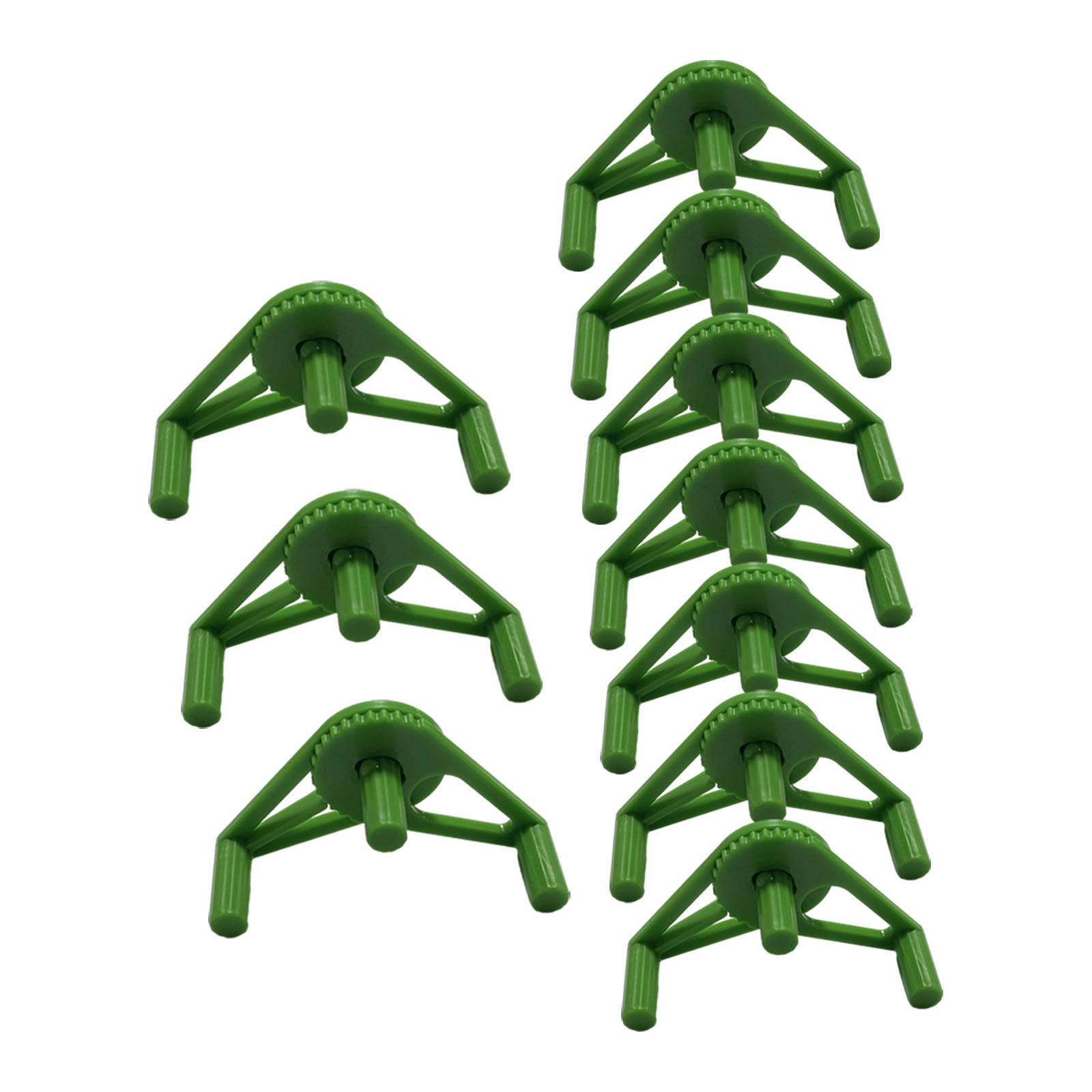 Clips de Entrenamiento Ajustab - Bonsai Garden Tree reseña y precio