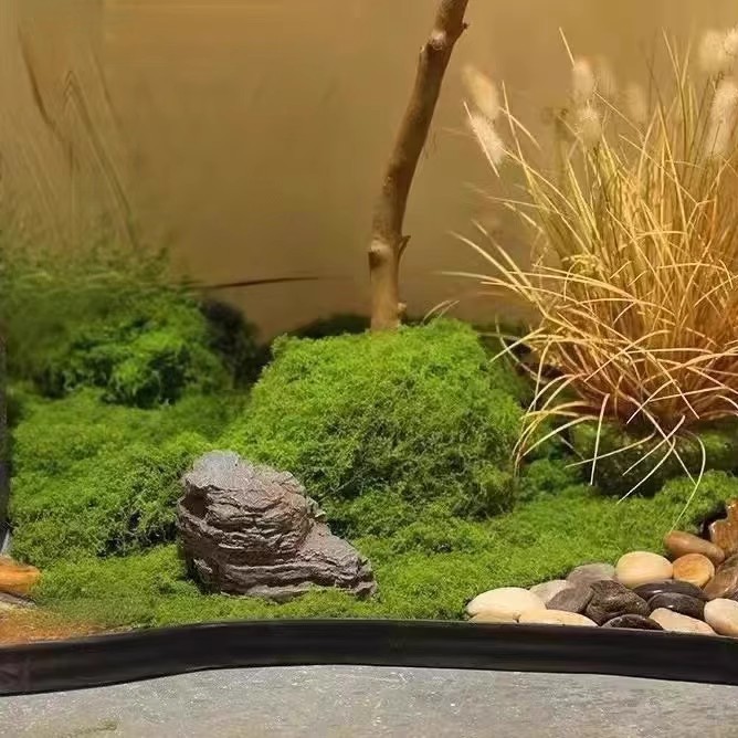 Musgo Eterno de 200g para Manu - Bonsai Garden Mini reseña y precio