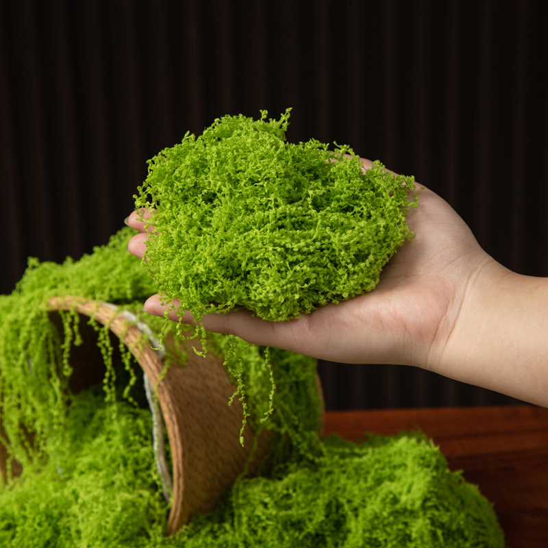 Musgo Eterno de 200g para Manu - Bonsai Garden Mini reseña y precio