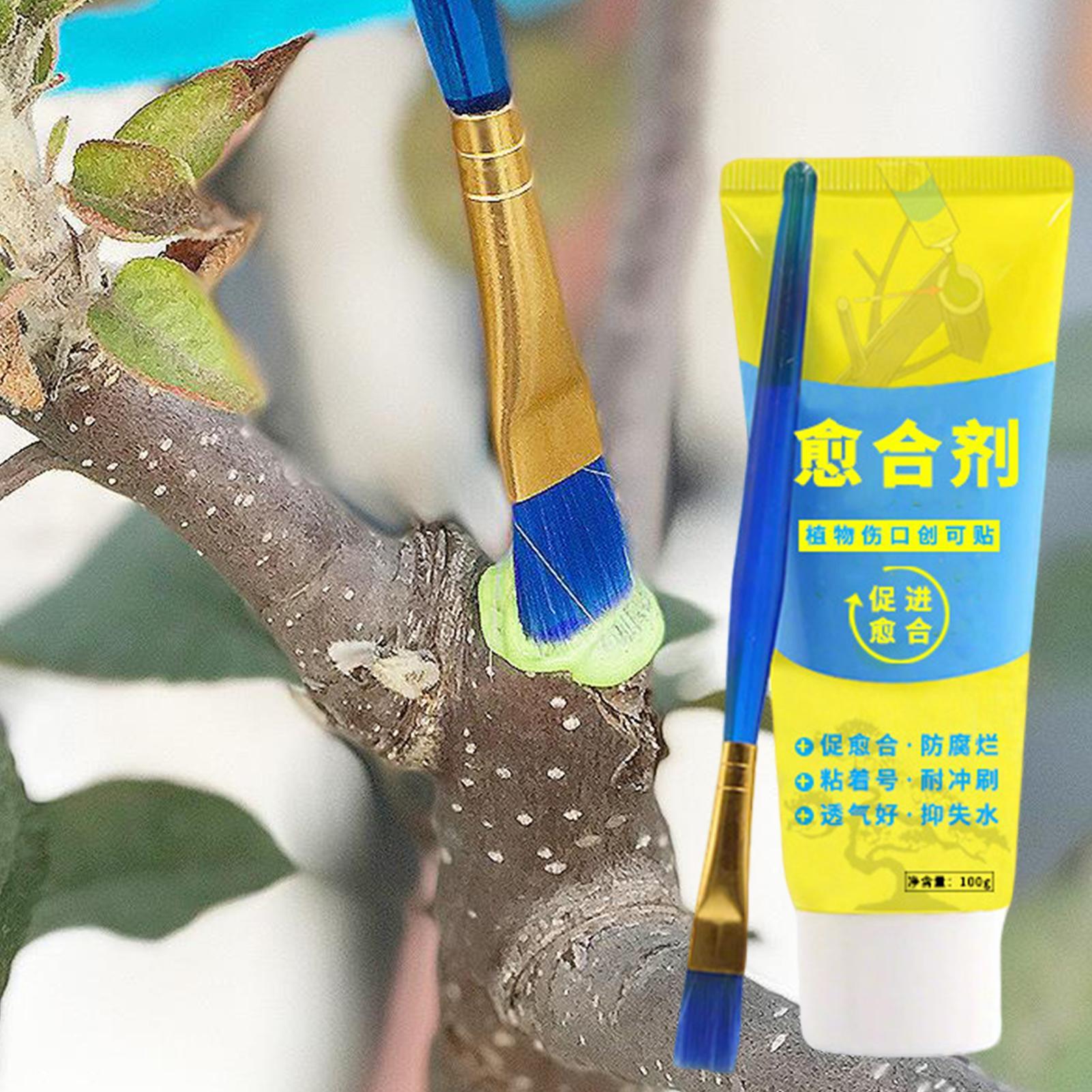 Sellador de heridas para plant - Bonsai Garden Tree reseña y precio