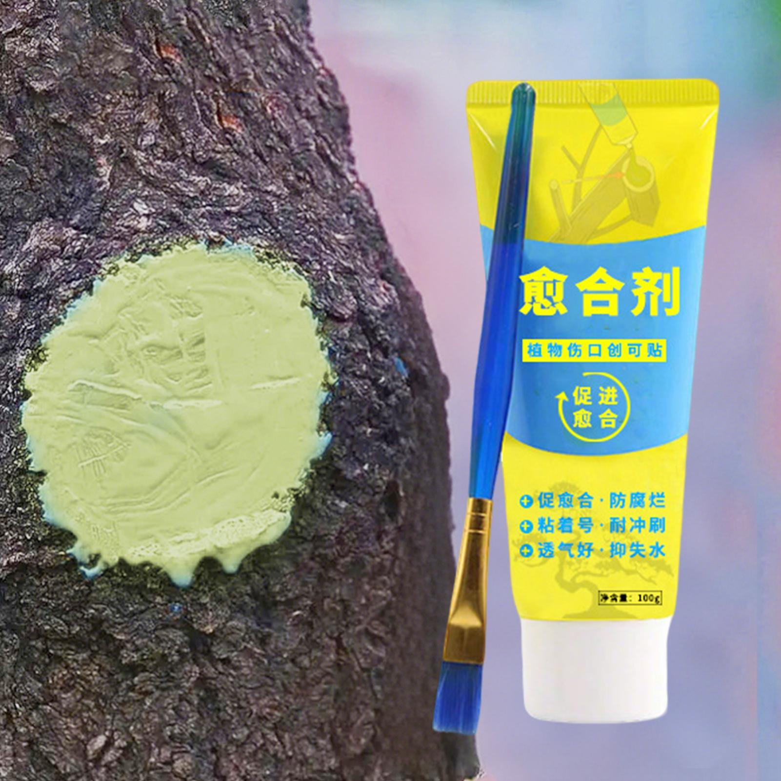 Sellador de heridas para plant - Bonsai Garden Tree reseña y precio