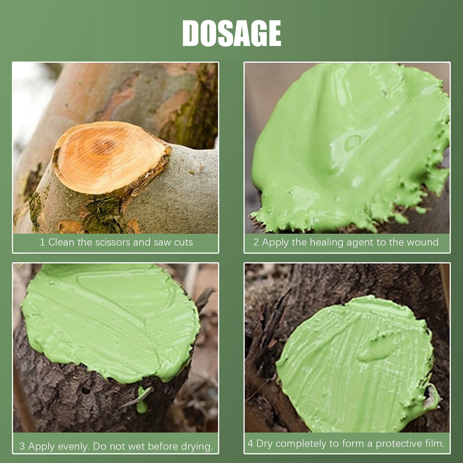 Sellador de heridas para plant - Bonsai Garden Tree reseña y precio