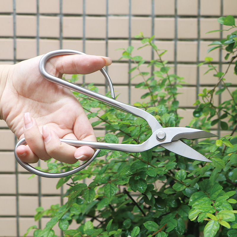 Tijeras de jardín totalmente d - Concave Branch Cutter reseña y precio