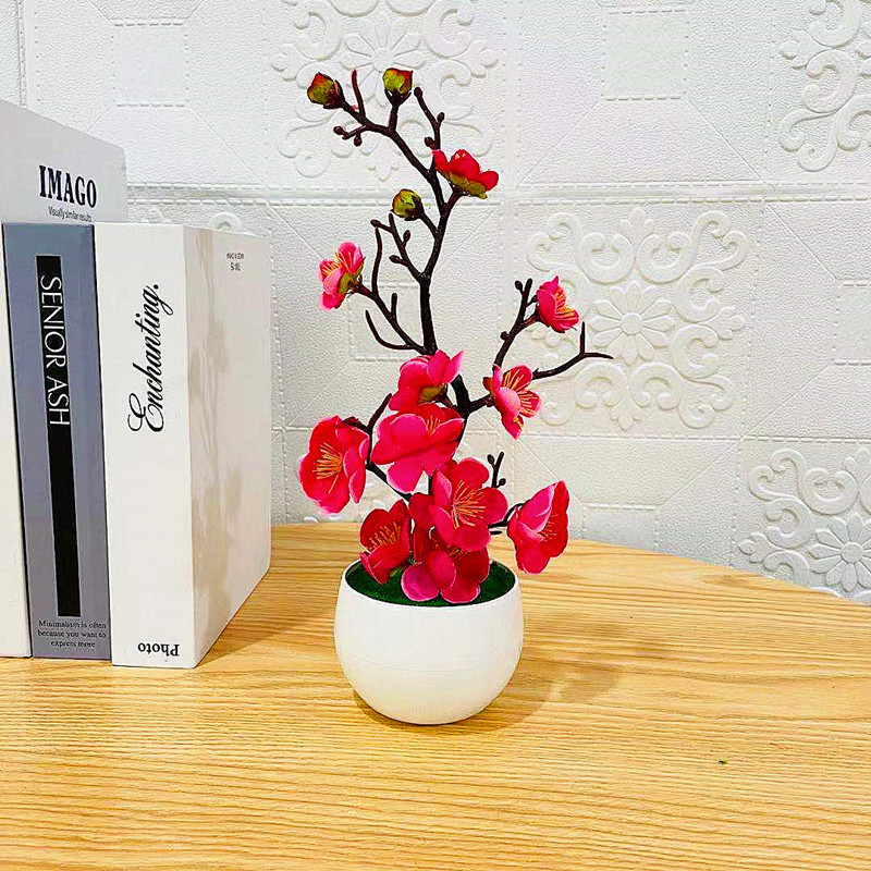 2025 caliente Día de la madre  - Bonsai Garden Mini reseña y precio