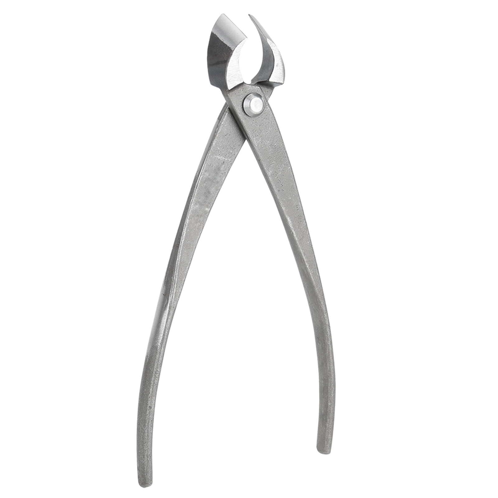 Cortador de bonsái, tijeras de - Concave Branch Cutter reseña y precio