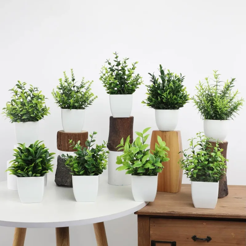 Venta al por mayor OEM/ODM Min - Bonsai Garden Mini reseña y precio