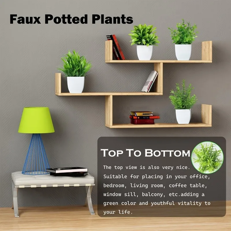 Venta al por mayor OEM/ODM Min - Bonsai Garden Mini reseña y precio