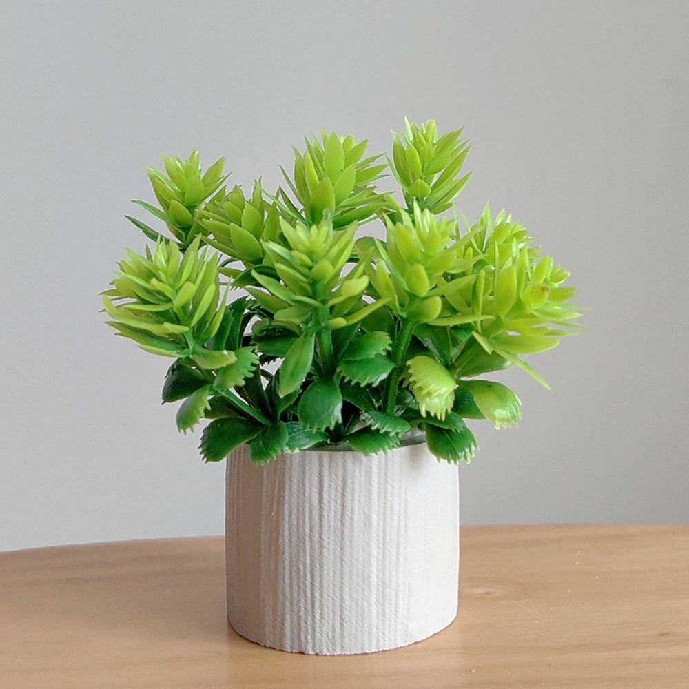 Planta en Maceta a Escala 1:6  - Bonsai Garden Mini reseña y precio