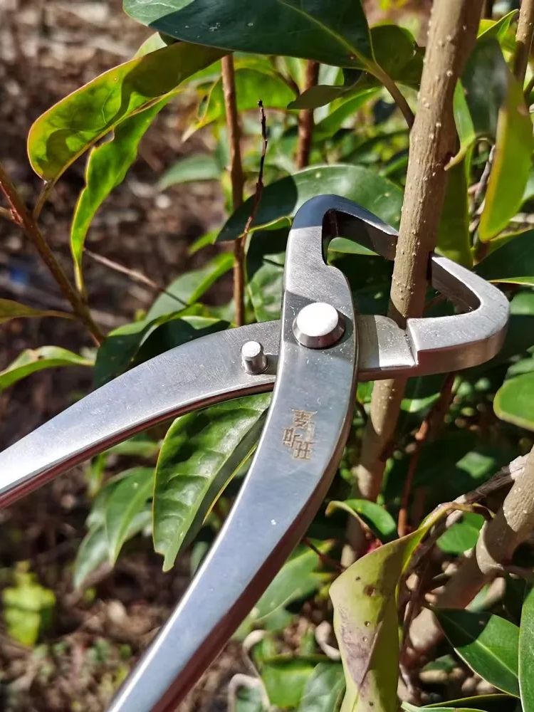 Juego de Herramientas Profesio - Concave Branch Cutter reseña y precio