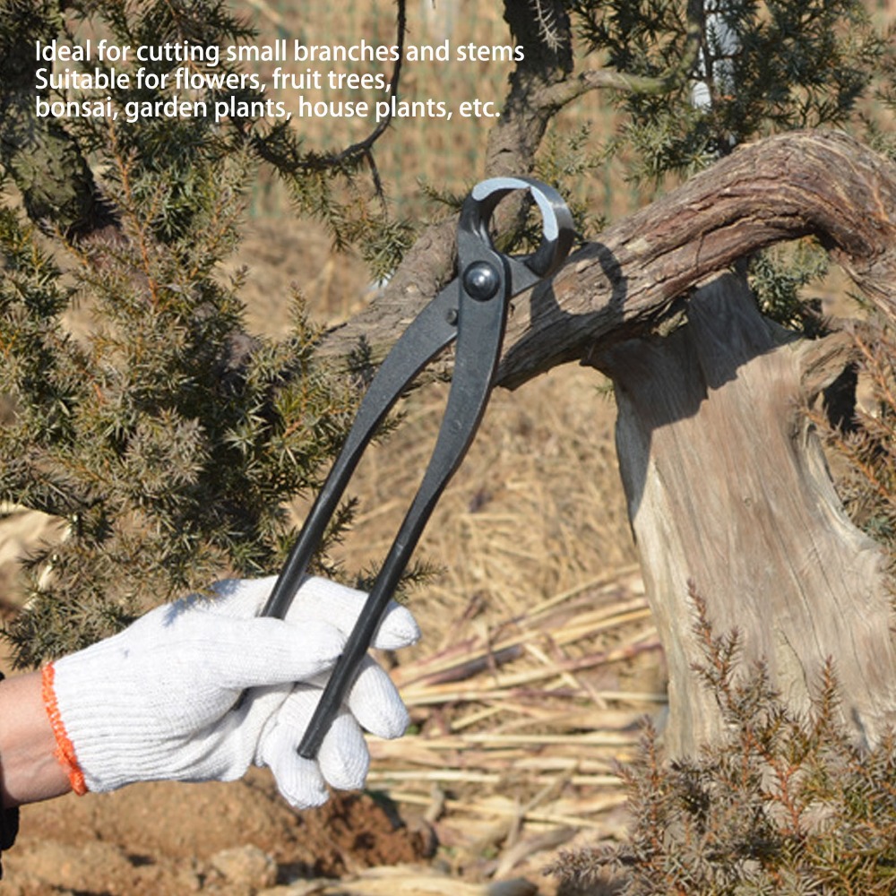 Cortador de Ramas de Bonsái Pr - Concave Branch Cutter reseña y precio