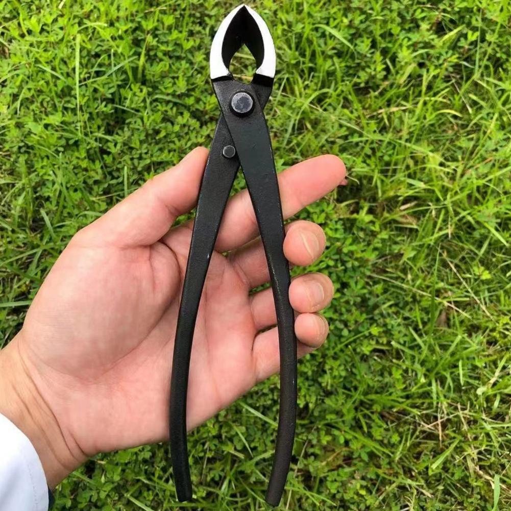 Cortador de ramas cóncavo para - Concave Branch Cutter reseña y precio