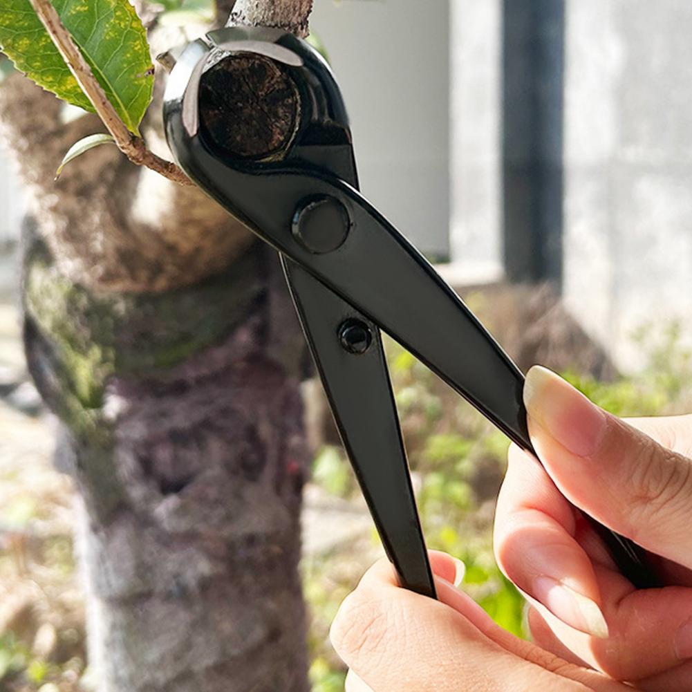 Cortador de ramas cóncavo para - Concave Branch Cutter reseña y precio