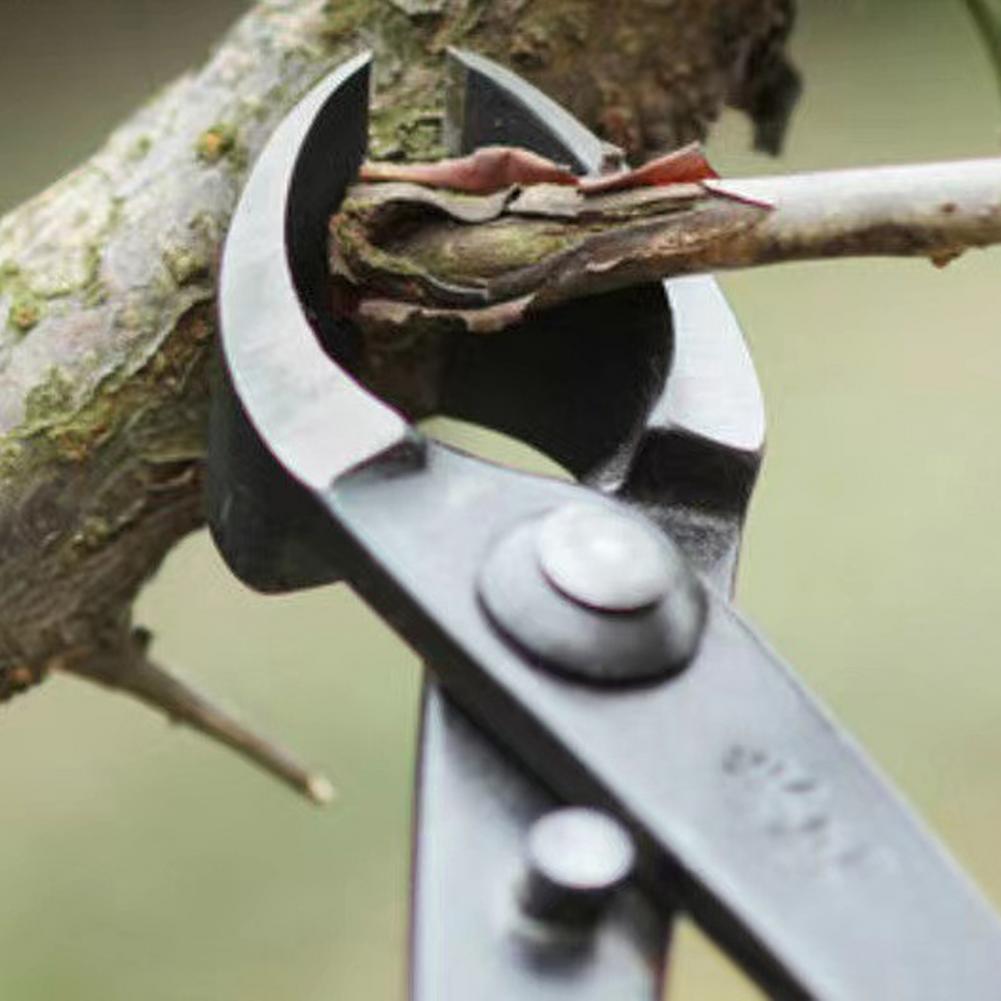 Cortador de ramas cóncavo para - Concave Branch Cutter reseña y precio