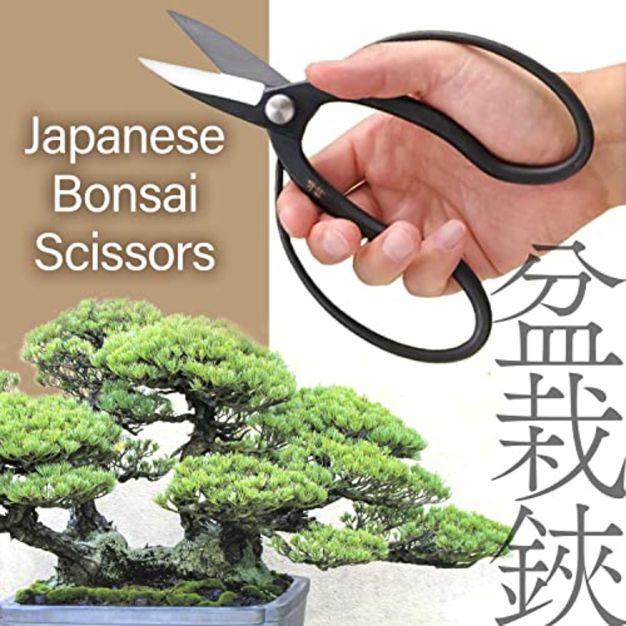 Tijeras Japonesas para Bonsái  - Japan Bonsai Garden reseña y precio