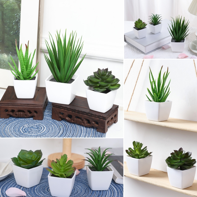 (Un juego de 3 piezas) Mini pl - Bonsai Garden Mini reseña y precio
