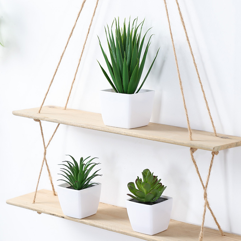 (Un juego de 3 piezas) Mini pl - Bonsai Garden Mini reseña y precio