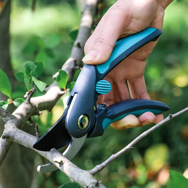 Tijeras para podar árboles fru - Bonsai Garden Tree reseña y precio
