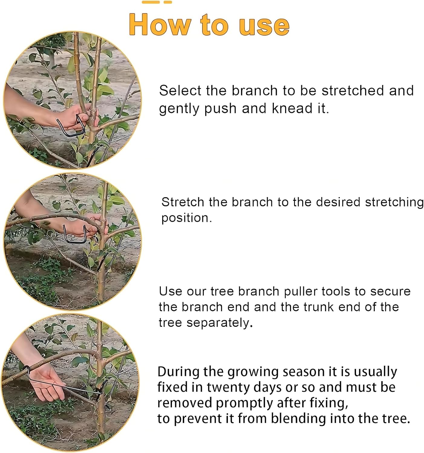 Diseñador de Ramas Ajustable p - Bonsai Garden Tree reseña y precio