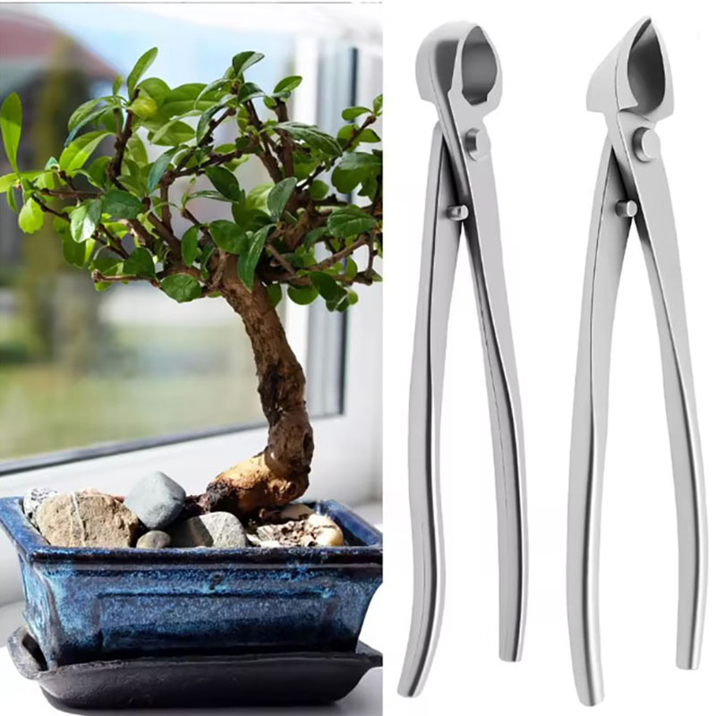 Juego de herramientas para bon - Concave Branch Cutter reseña y precio
