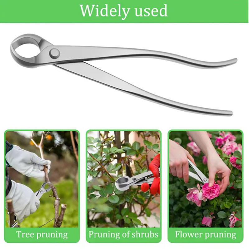 Juego de herramientas para bon - Concave Branch Cutter reseña y precio