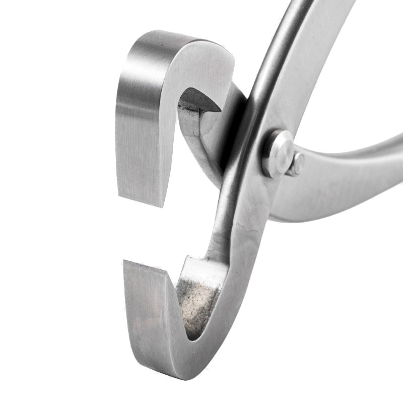 Juego de herramientas para bon - Concave Branch Cutter reseña y precio