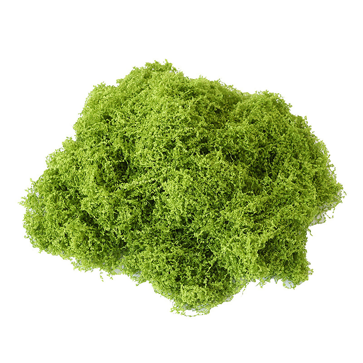 Alrededor de 20 g de plantas v - Bonsai Garden Decor reseña y precio