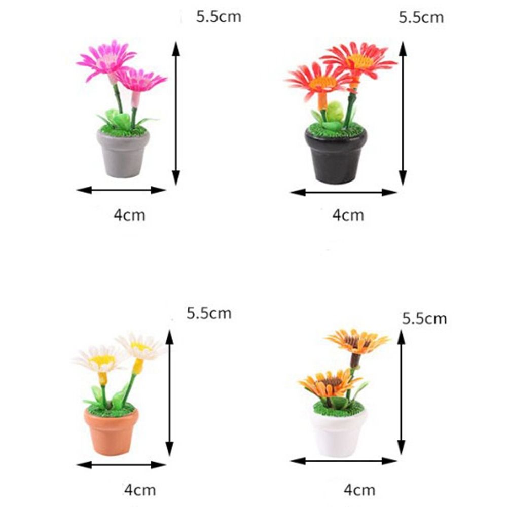 Planta en maceta en miniatura  - Bonsai Garden Mini reseña y precio