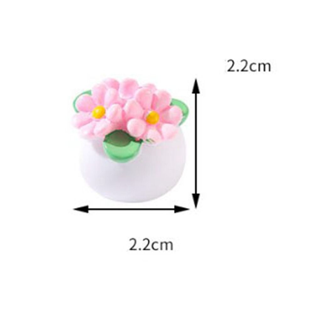 Planta en maceta en miniatura  - Bonsai Garden Mini reseña y precio