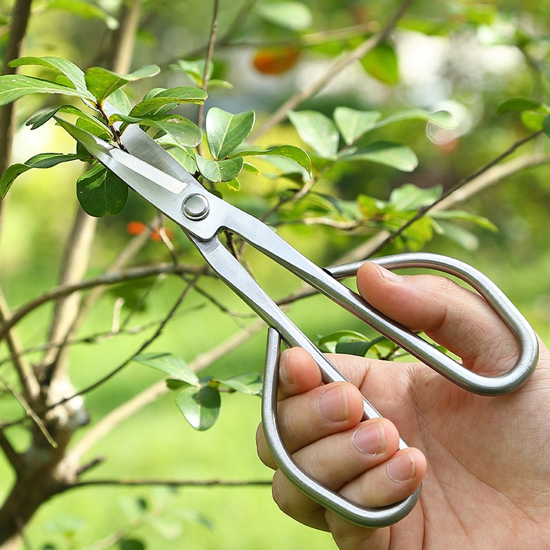 Tijeras de hojas tiernas, herr - Concave Branch Cutter reseña y precio