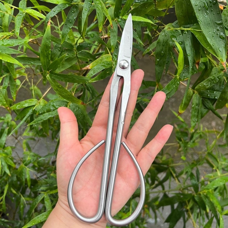 Tijeras de hojas tiernas, herr - Concave Branch Cutter reseña y precio