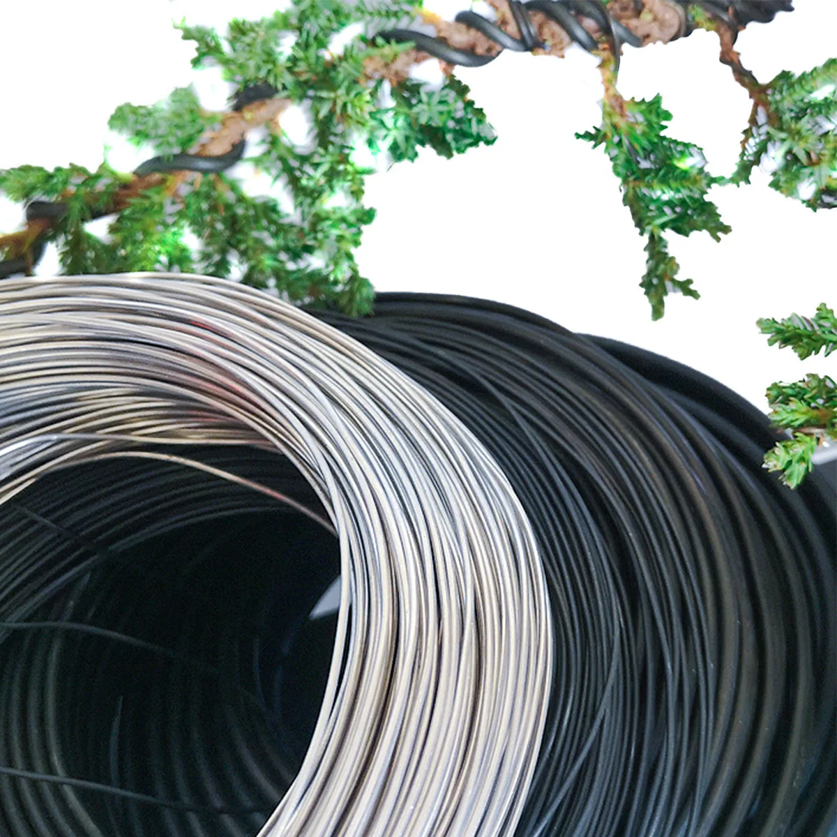 Juego de 4 rollos de cables pa - Bonsai Zen Garden Set reseña y precio