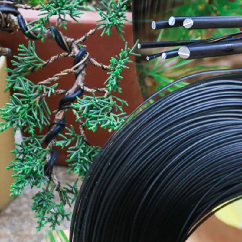Juego de 4 rollos de cables pa - Bonsai Zen Garden Set reseña y precio