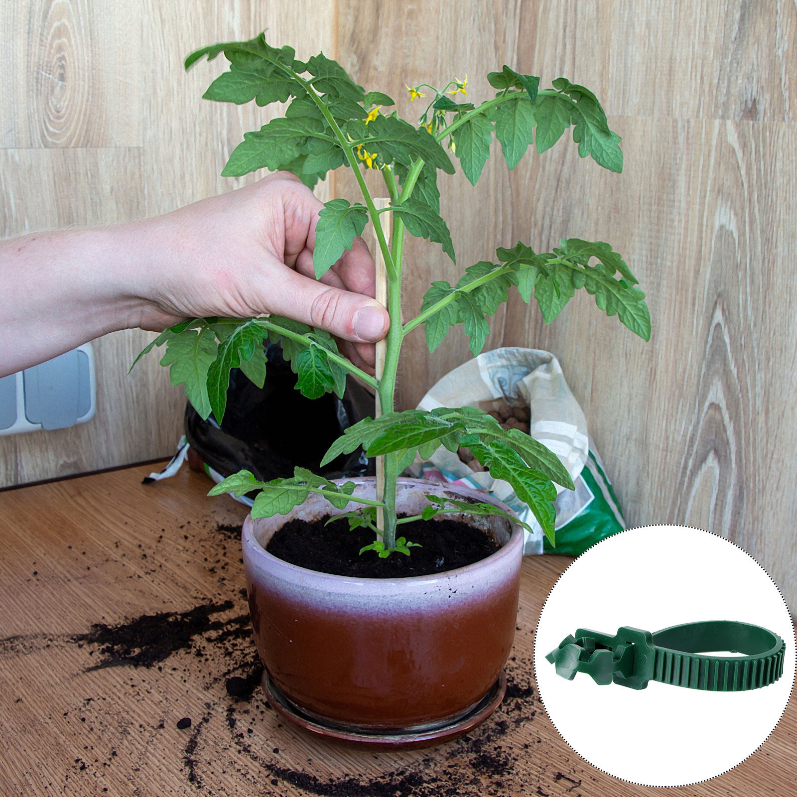 20 Piezas de Hebillas de Fijac - Bonsai Garden Tree reseña y precio