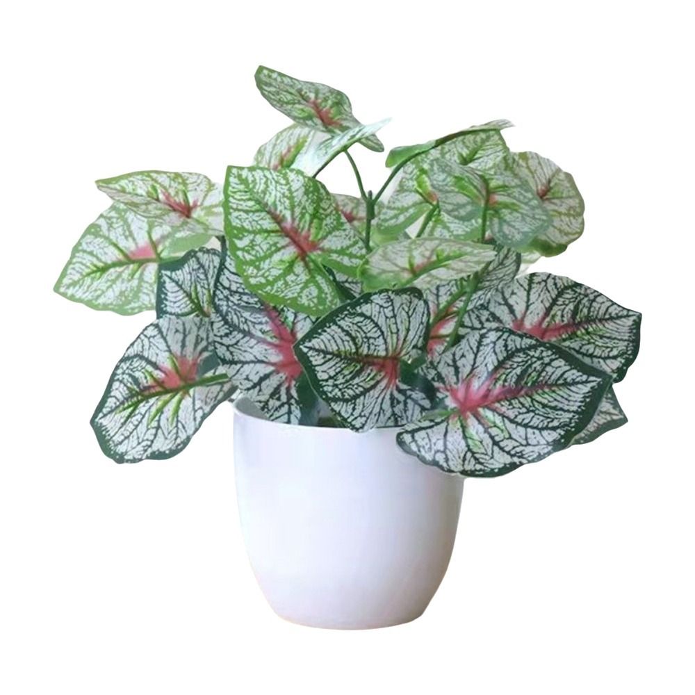 Mini Flores Artificiales en Ma - Bonsai Garden Mini reseña y precio