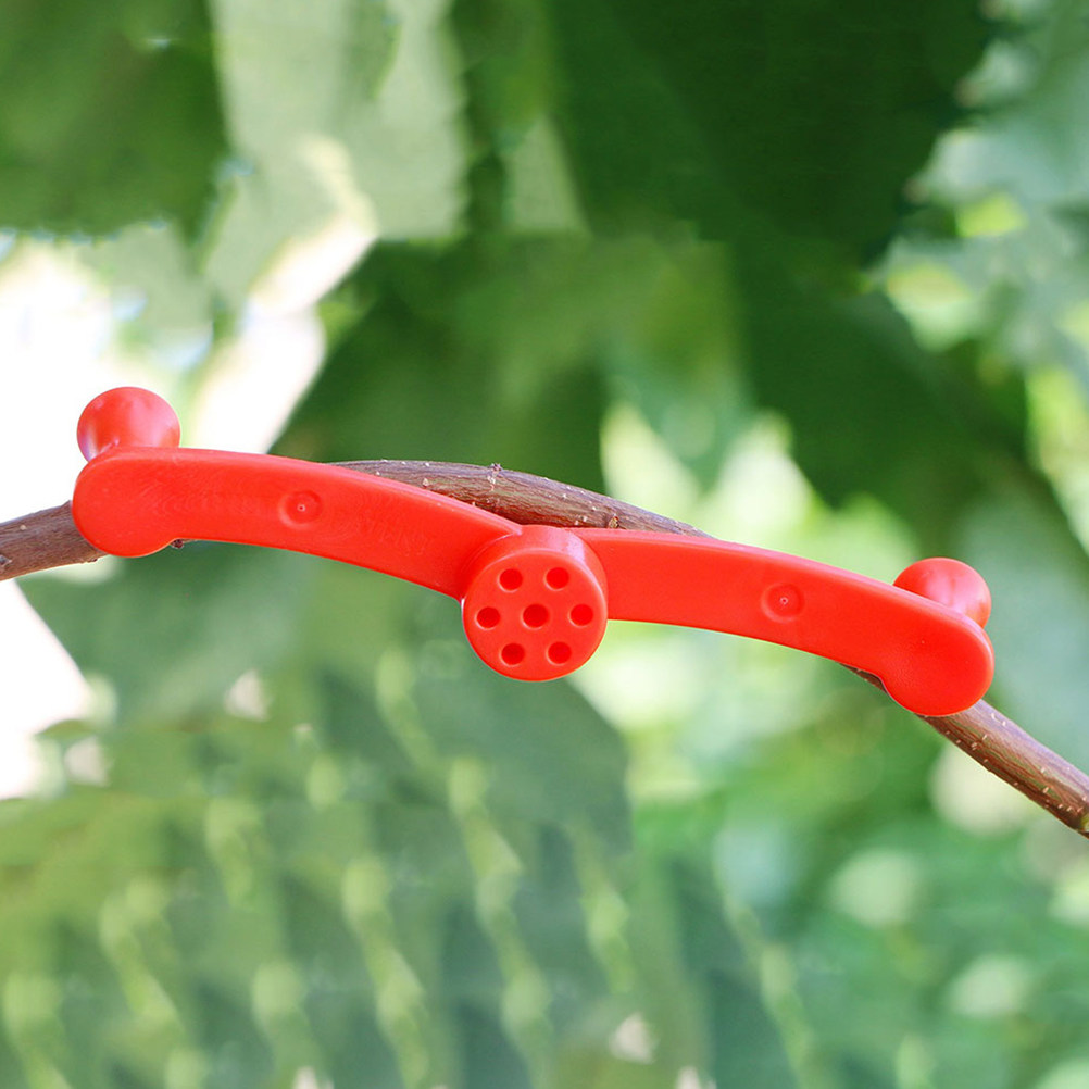 10 Piezas de Soportes Flexible - Bonsai Garden Tree reseña y precio