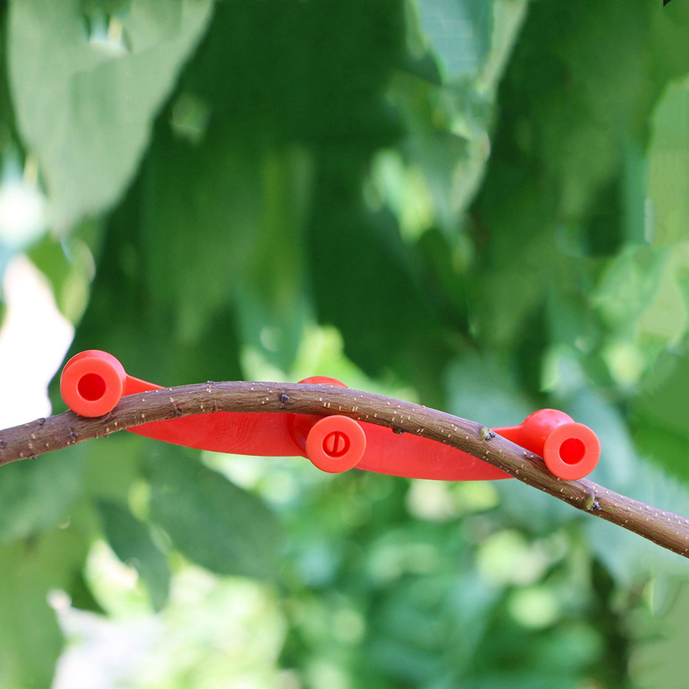 10 Piezas de Soportes Flexible - Bonsai Garden Tree reseña y precio