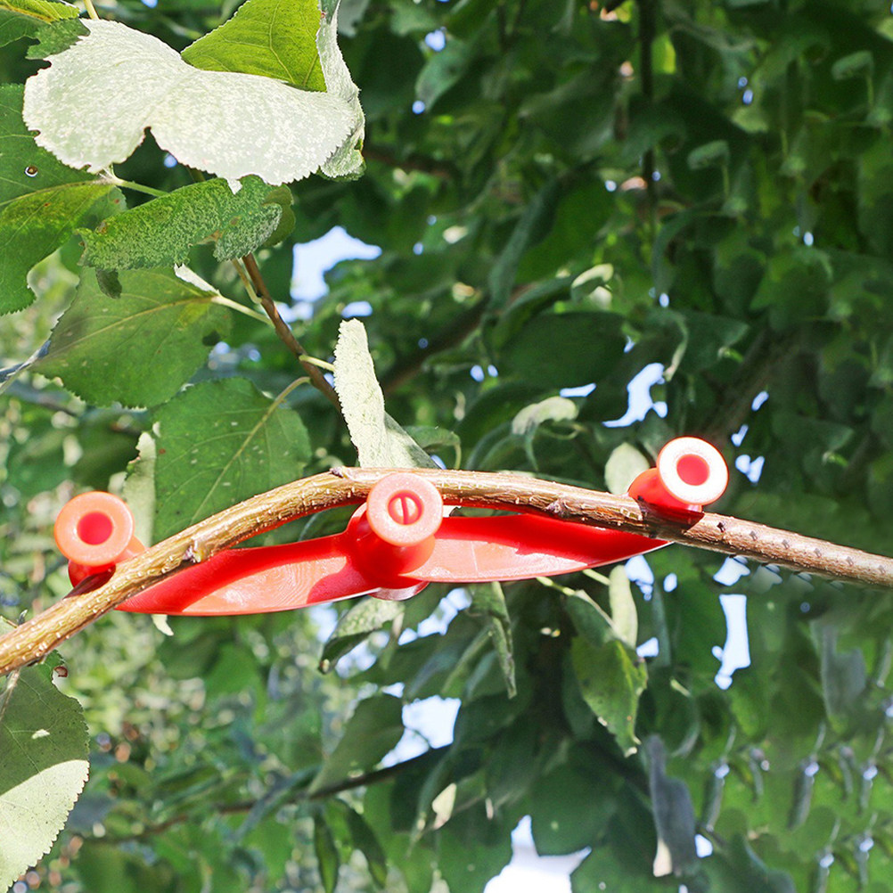 10 Piezas de Soportes Flexible - Bonsai Garden Tree reseña y precio