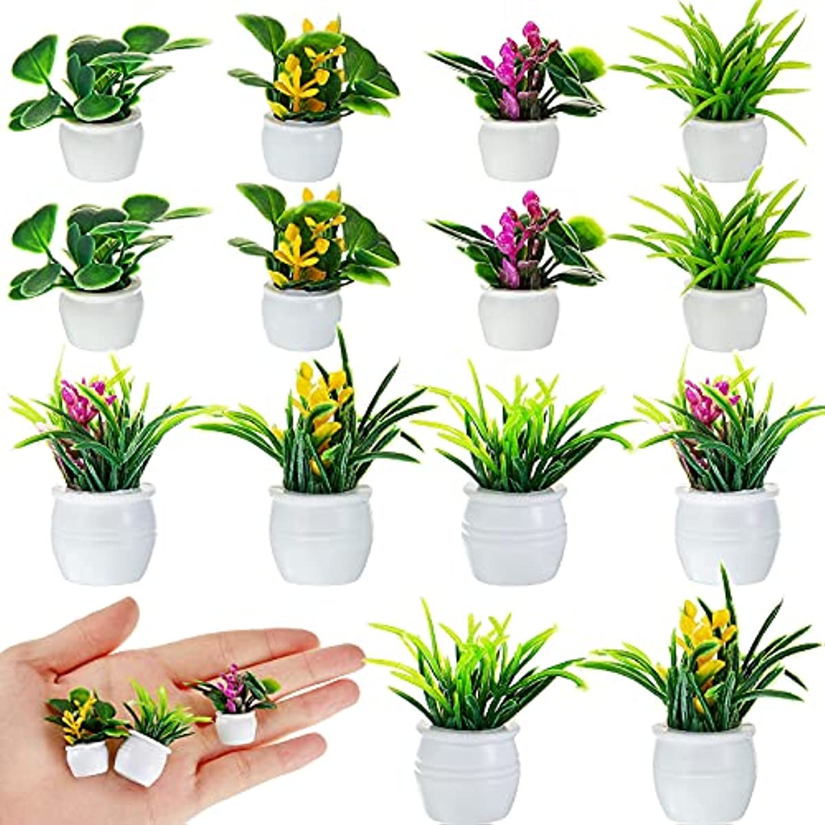 Planta de casa de muñecas, pla - Bonsai Garden Mini reseña y precio