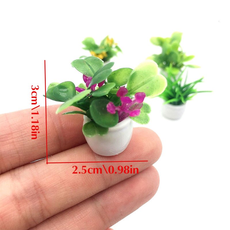 Planta de casa de muñecas, pla - Bonsai Garden Mini reseña y precio
