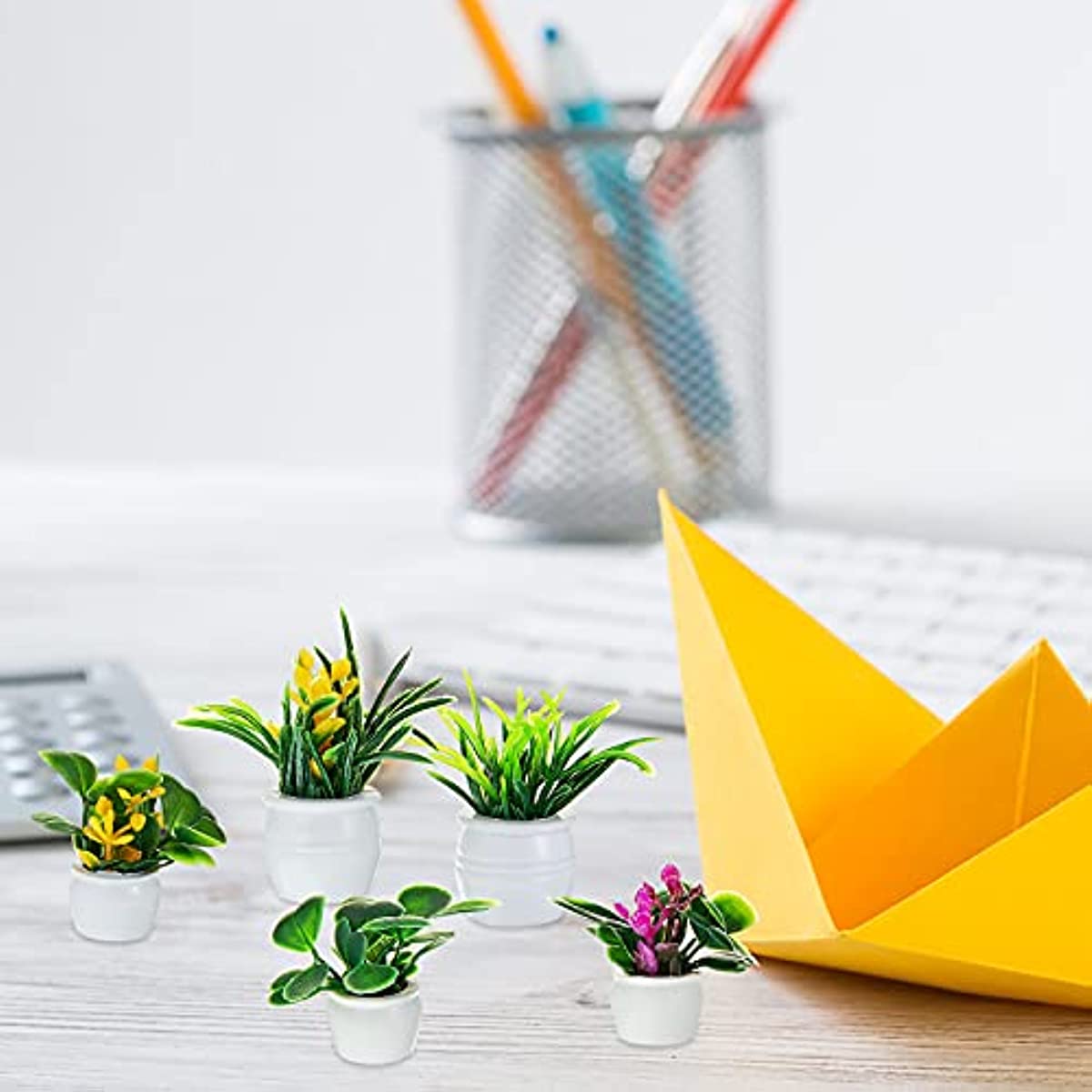 Planta de casa de muñecas, pla - Bonsai Garden Mini reseña y precio