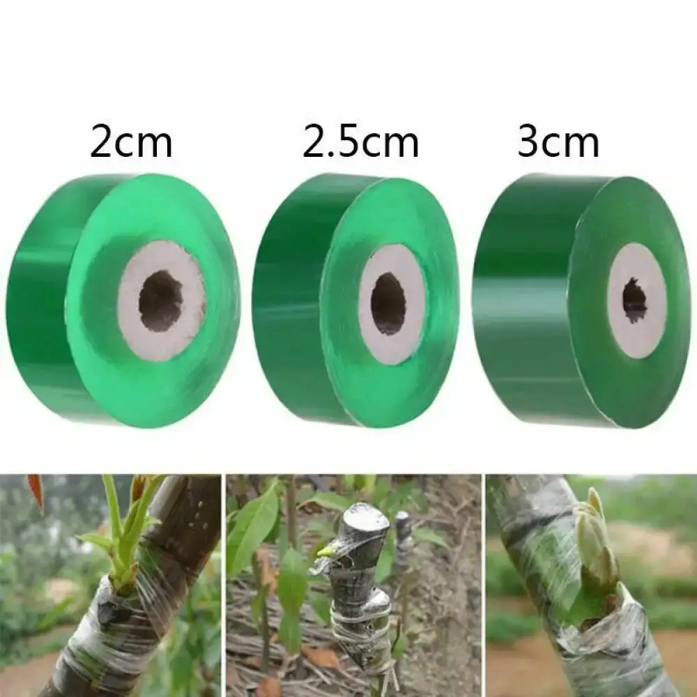 1 Rollo de Cinta de Injerto Au - Bonsai Garden Tree reseña y precio