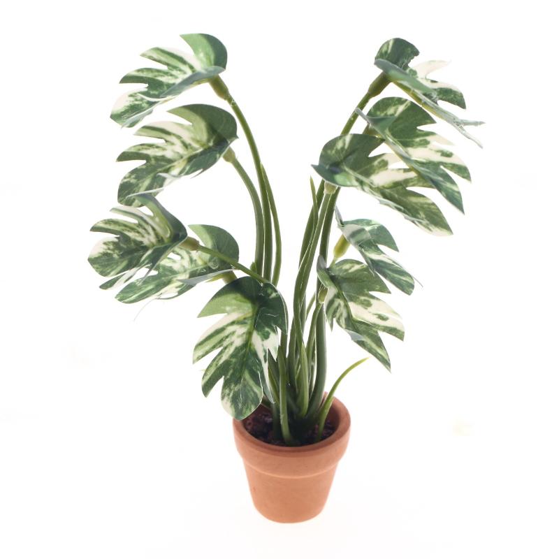 Nuevo. 1 unidad. Planta verde  - Bonsai Garden Decor reseña y precio