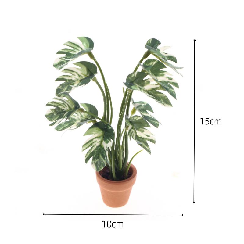 Nuevo. 1 unidad. Planta verde  - Bonsai Garden Decor reseña y precio