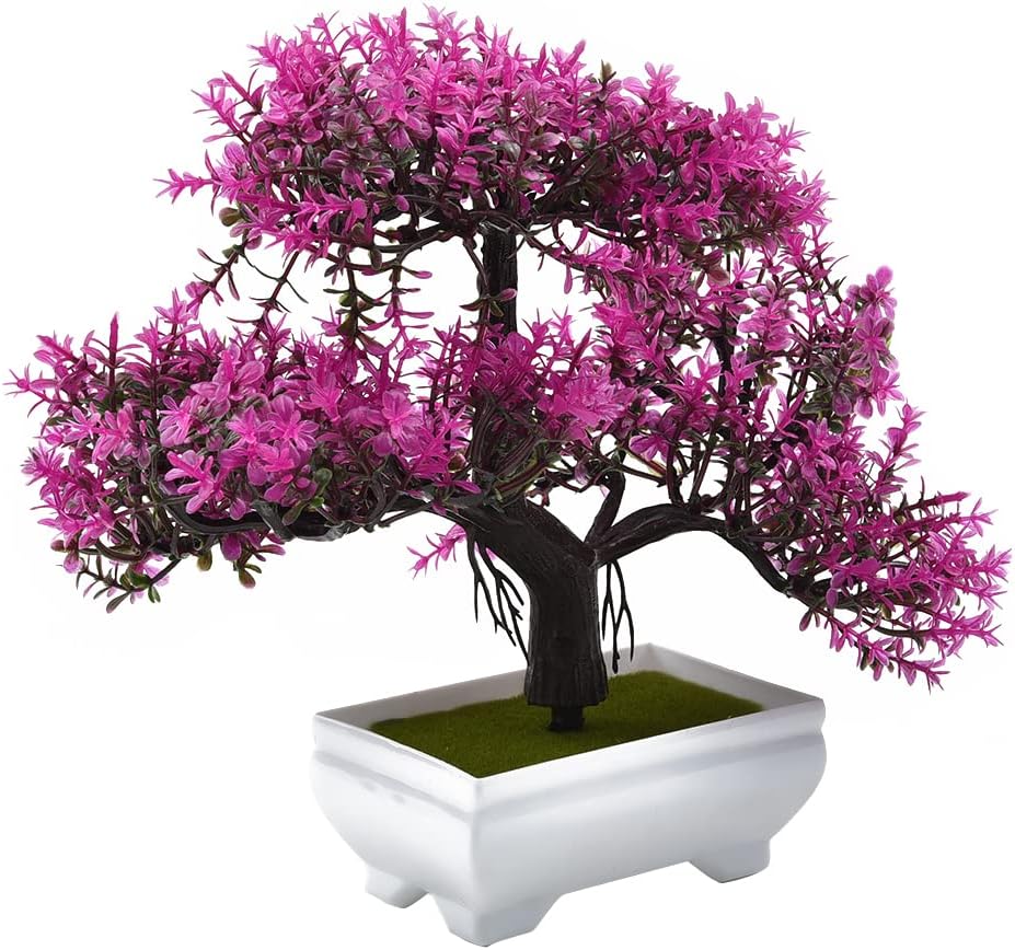 Plantas artificiales bonsái, p - Bonsai Garden Mini reseña y precio